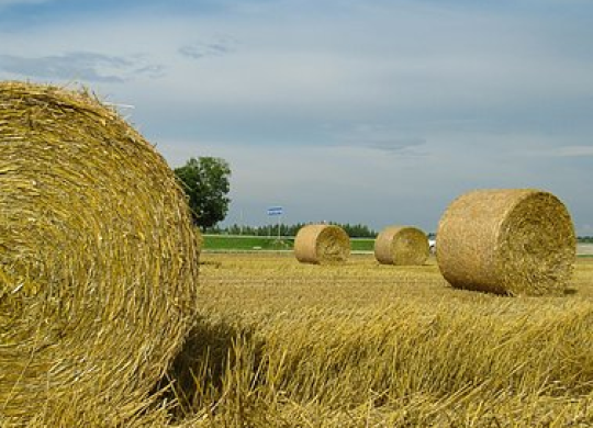 Voyager au Belarus : comment organiser un voyage pour les ressortissants étrangers et ce que vous devez savoir sur les conditions requises